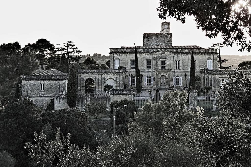 Studio Entre Cevennes Et Camargue Montfrin Exteriér fotografie
